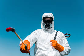 Trusted Garwood, NJ Pest Control Experts